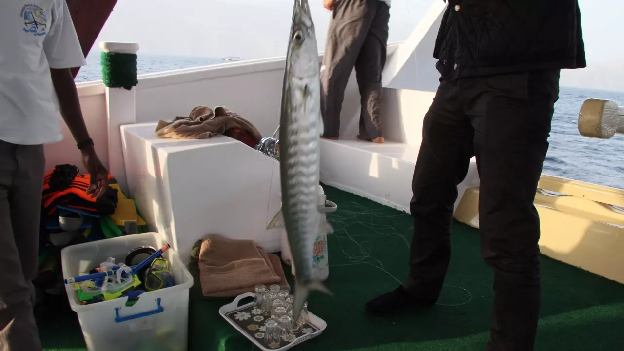 Морской круиз по восточному побережью – Мусандам