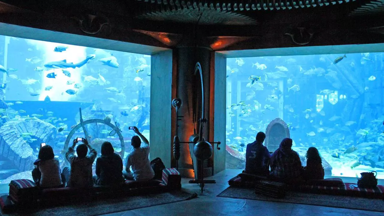 Lost World Aquarium - Photo 3