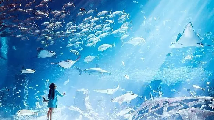 Lost World Aquarium - Photo 10