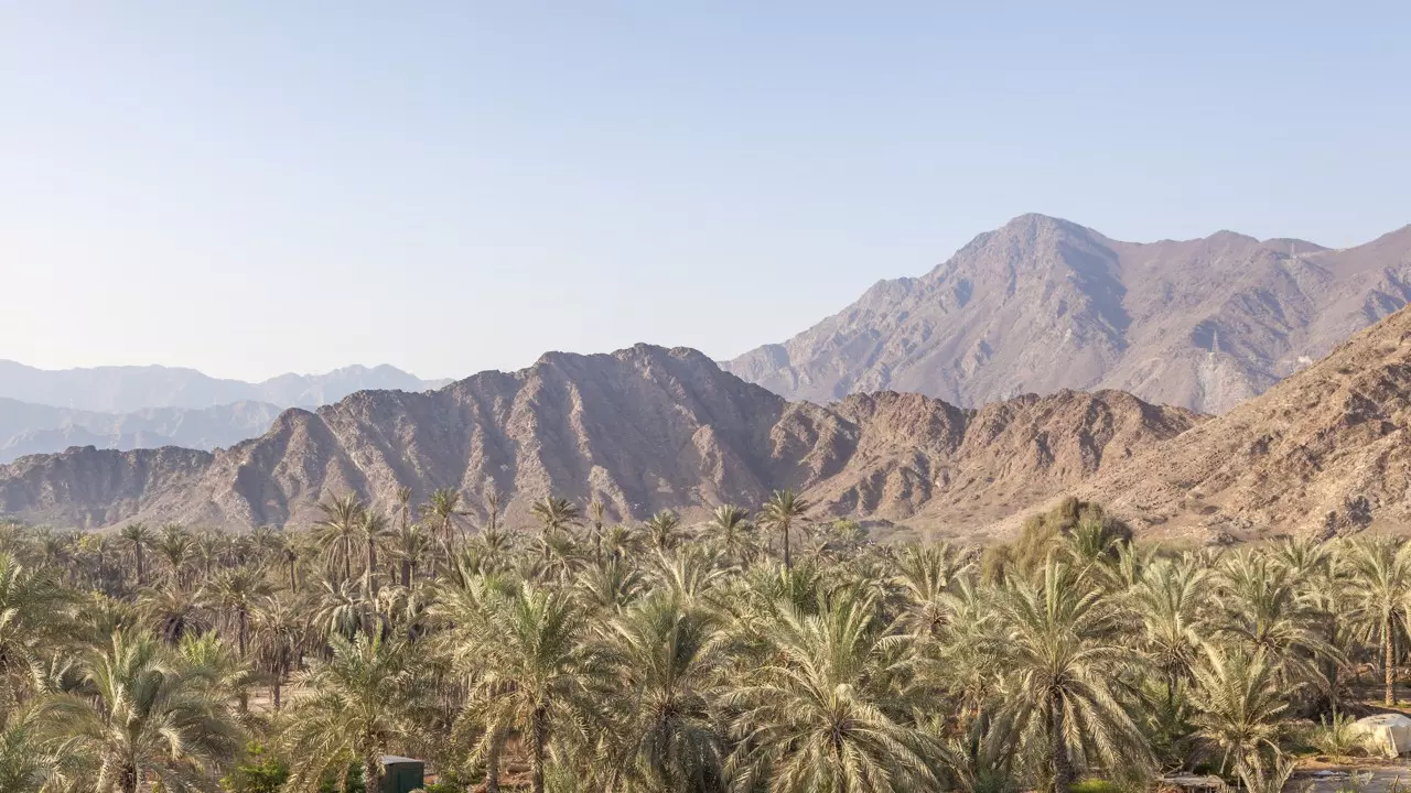 Private Fujairah City Tour from Fujairah