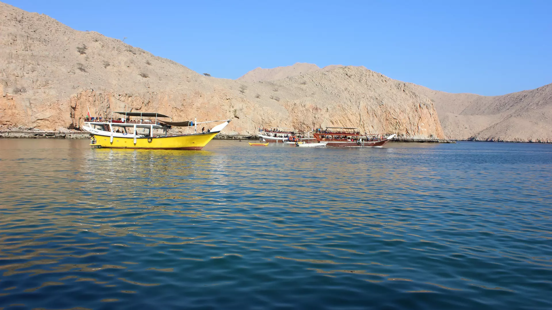 Musandam Day Trip - Photo 39