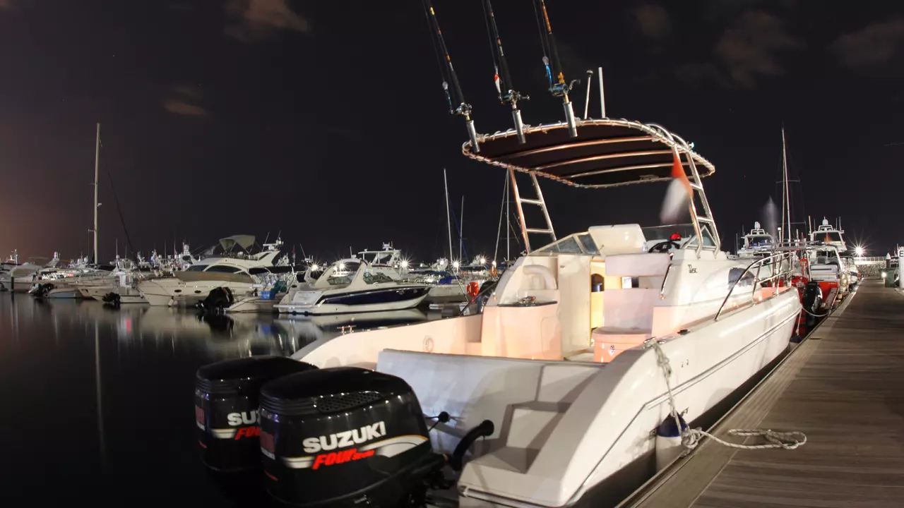 Deep Sea Fishing in Abu Dhabi - Photo 5