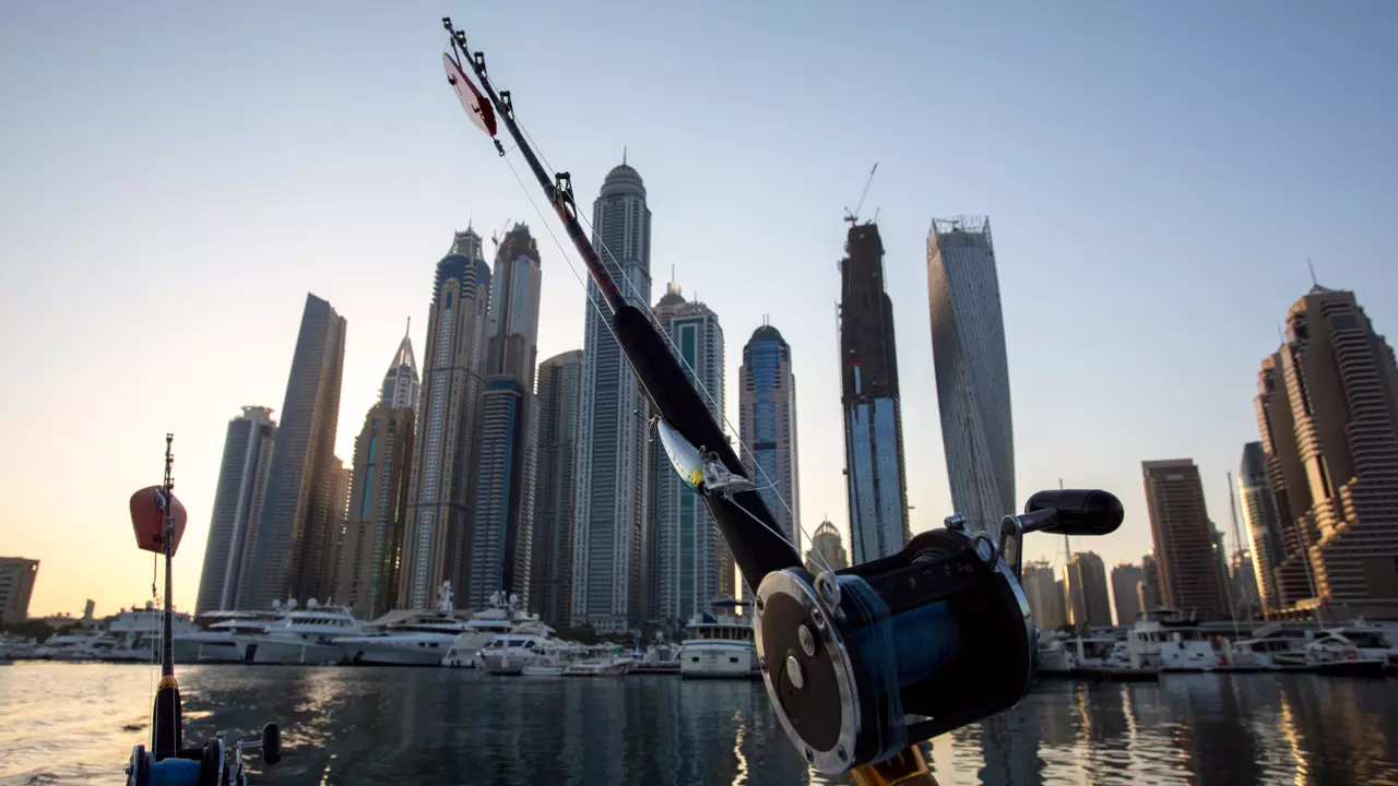 Deep Sea Fishing in Abu Dhabi - Photo 8