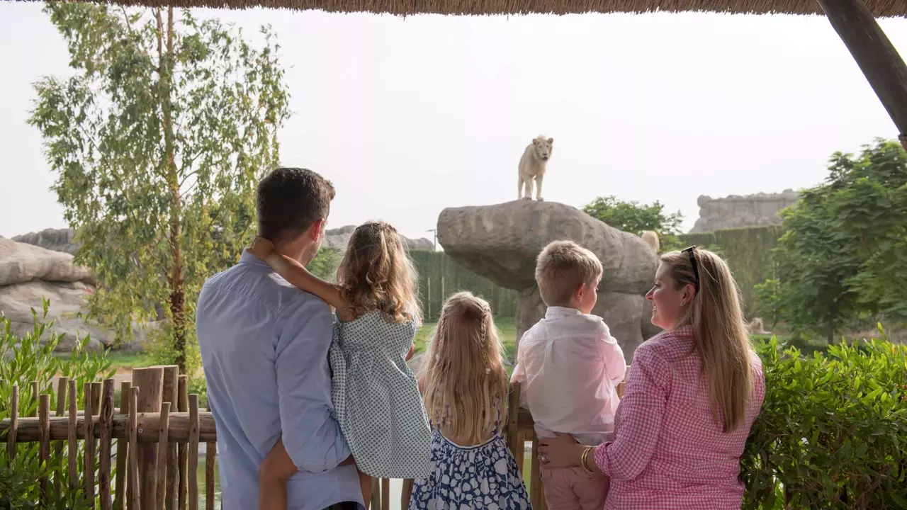 Dubai Safari Park 