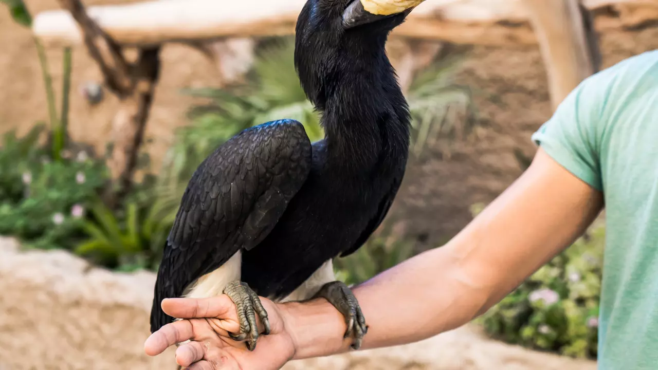 Dubai Safari Park  - Photo 2