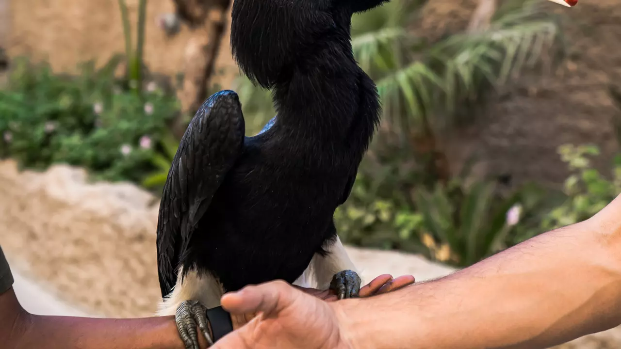 Dubai Safari Park  - Photo 3