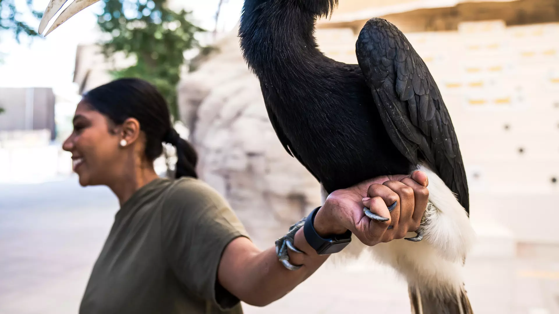 Dubai Safari Park  - Photo 26