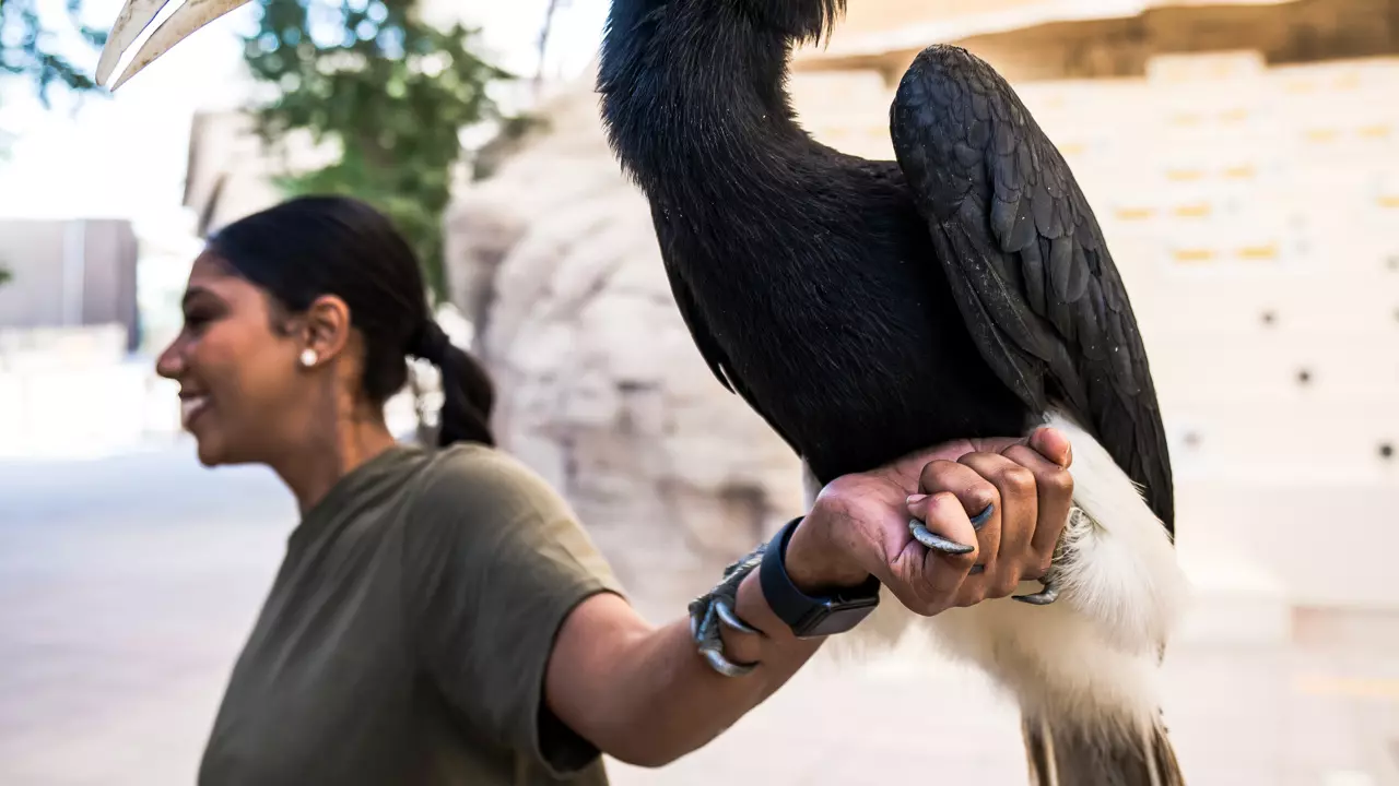 Dubai Safari Park  - Photo 4