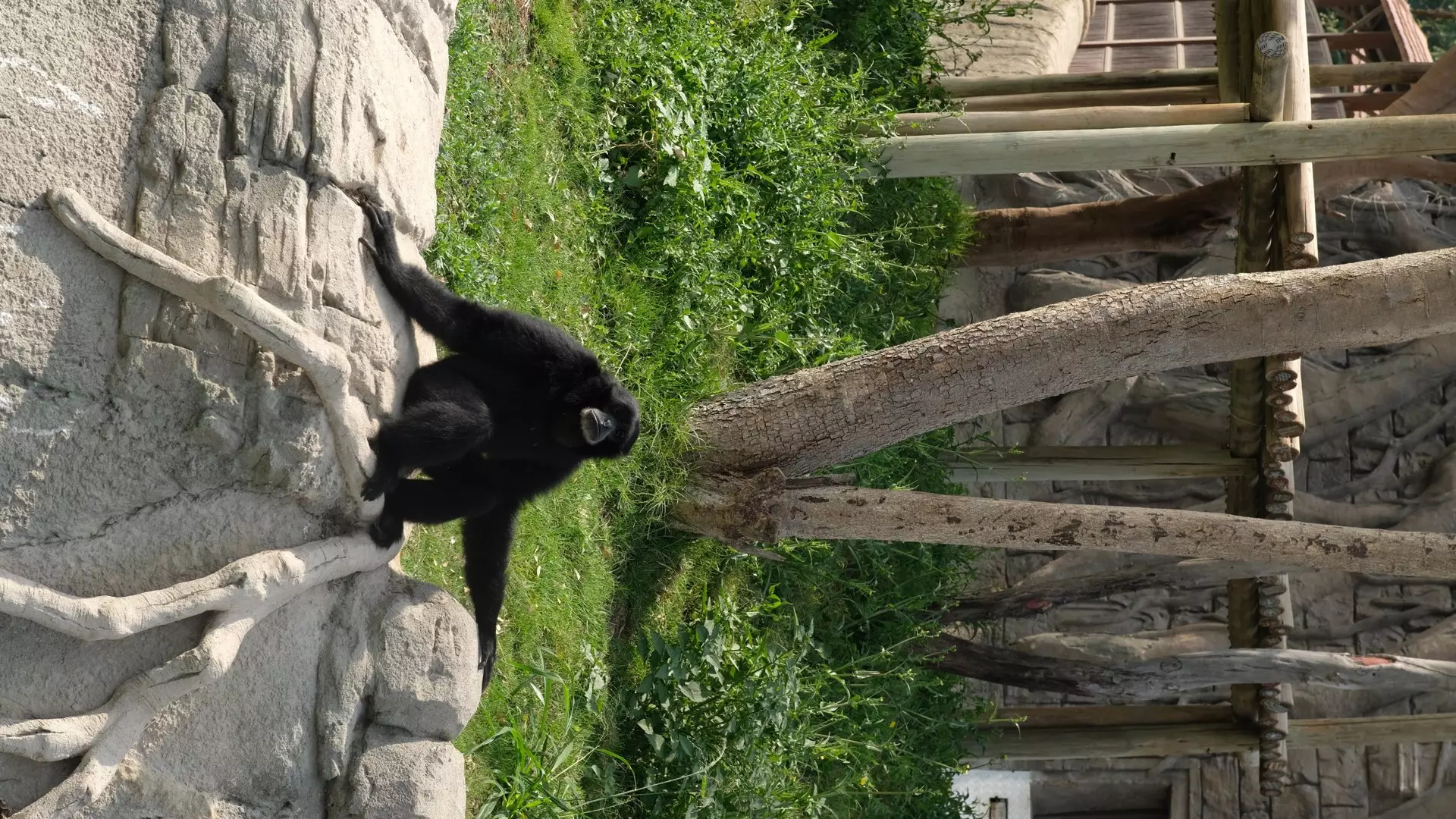 Dubai Safari Park  - Photo 29