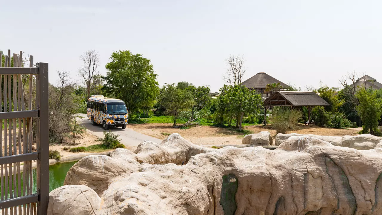 Dubai Safari Park  - Photo 13