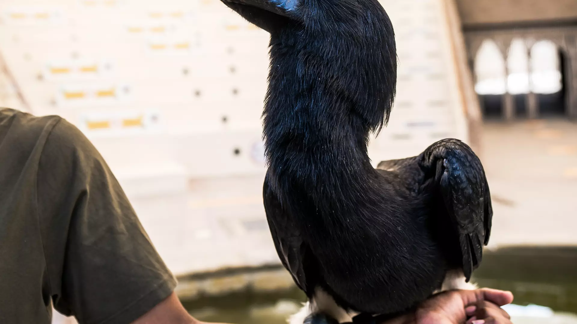 Dubai Safari Park  - Photo 37