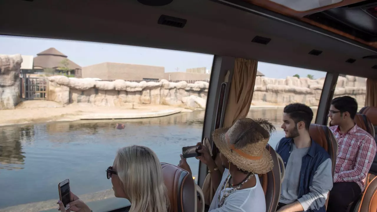 Dubai Safari Park  - Photo 17