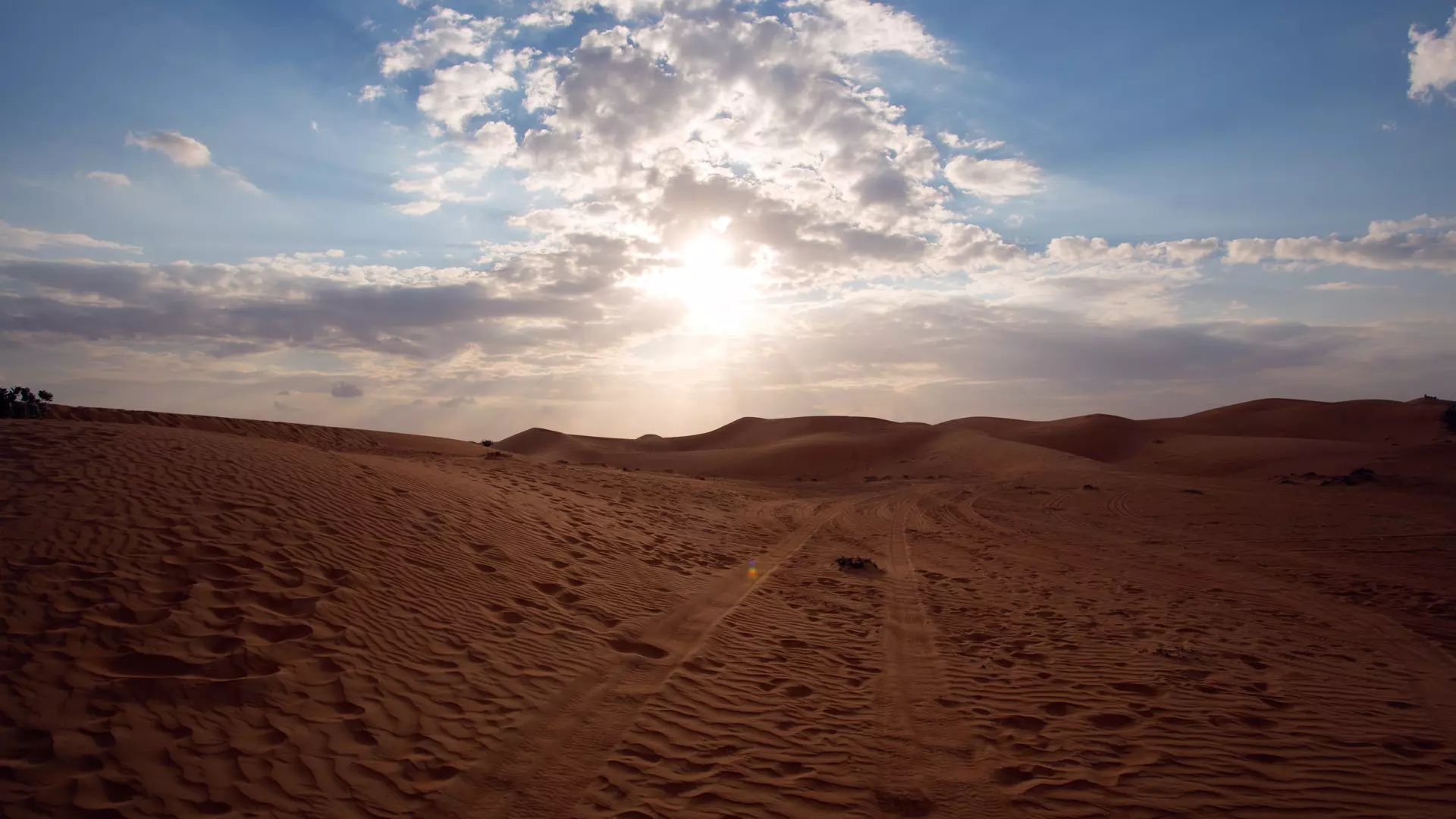 Desert Safari in Dubai + Red Sands Camp - Photo 26