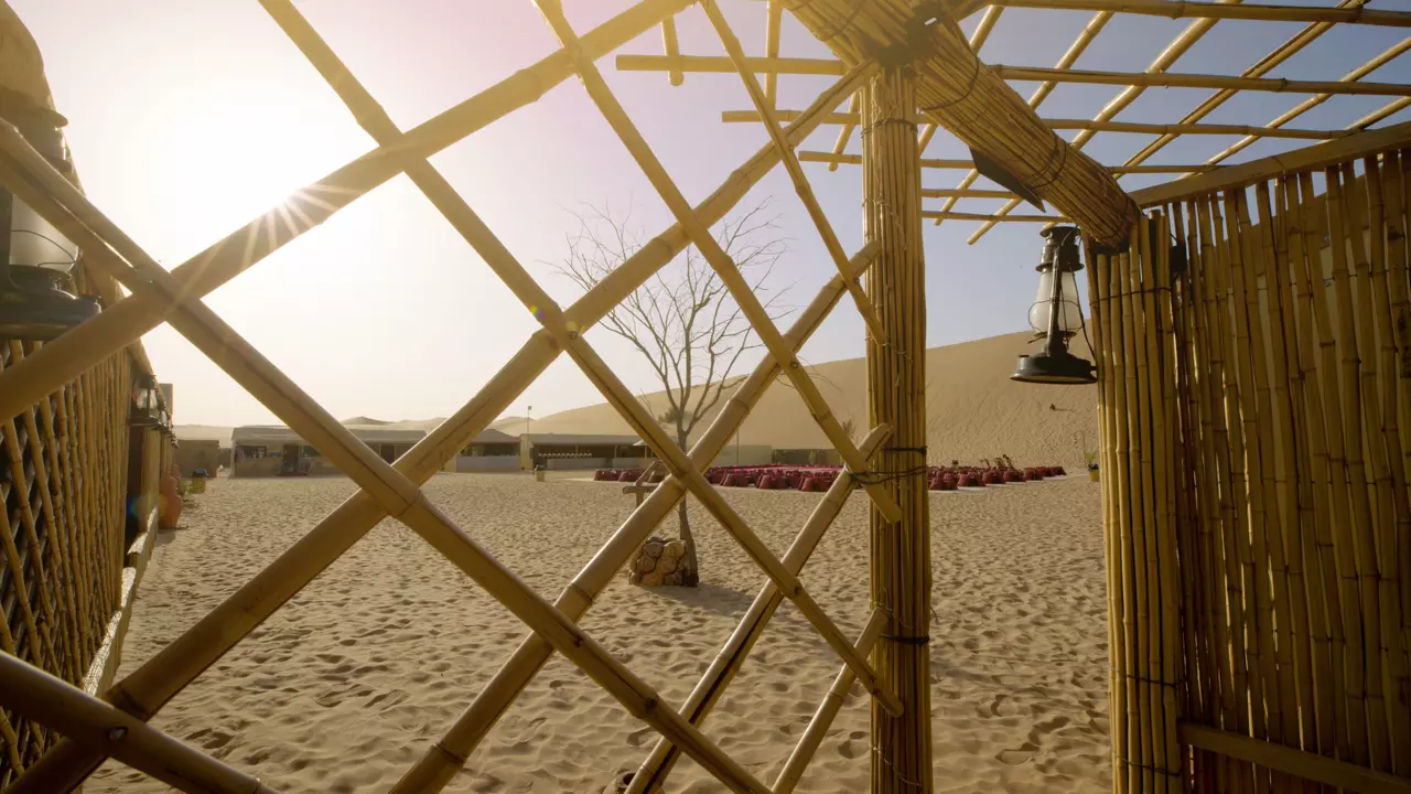 Desert Safari in Abu Dhabi - Photo 4