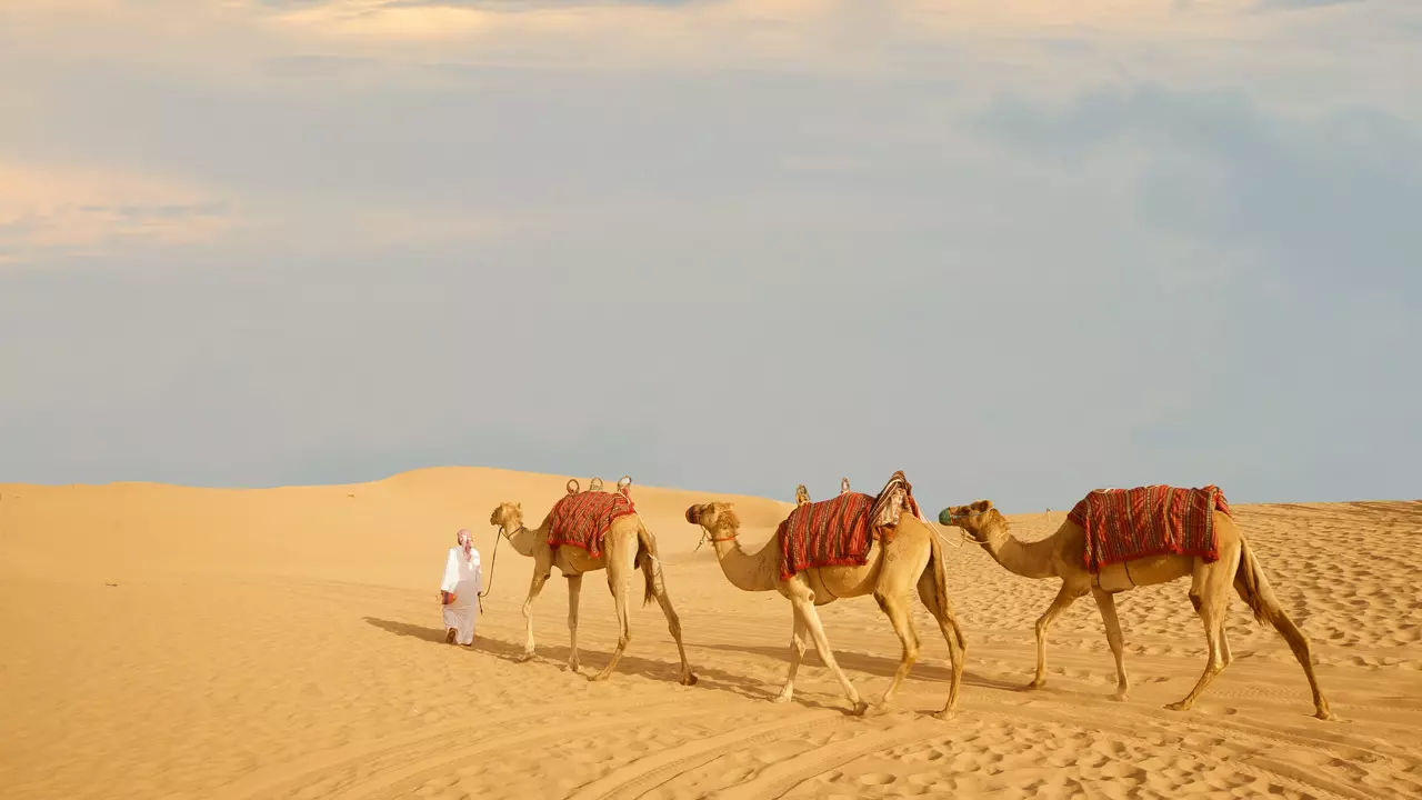 Desert Safari in Abu Dhabi - Photo 11
