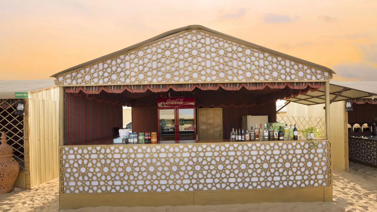 Desert Safari in Abu Dhabi - Photo 13