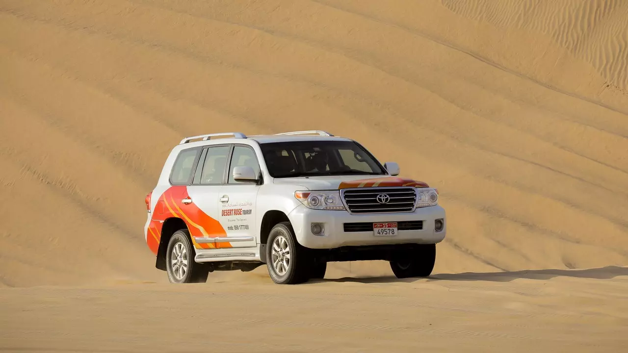 Desert Safari in Abu Dhabi - Photo 23
