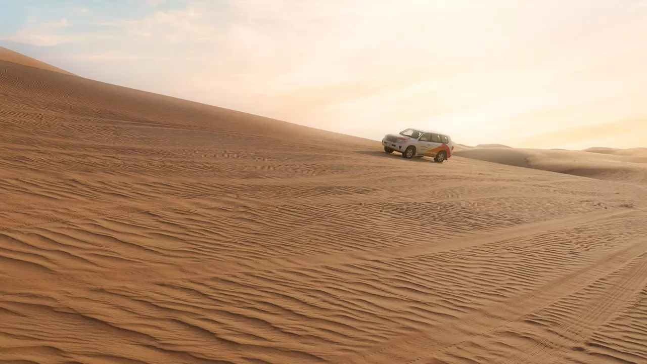 Desert Safari in Abu Dhabi - Photo 25