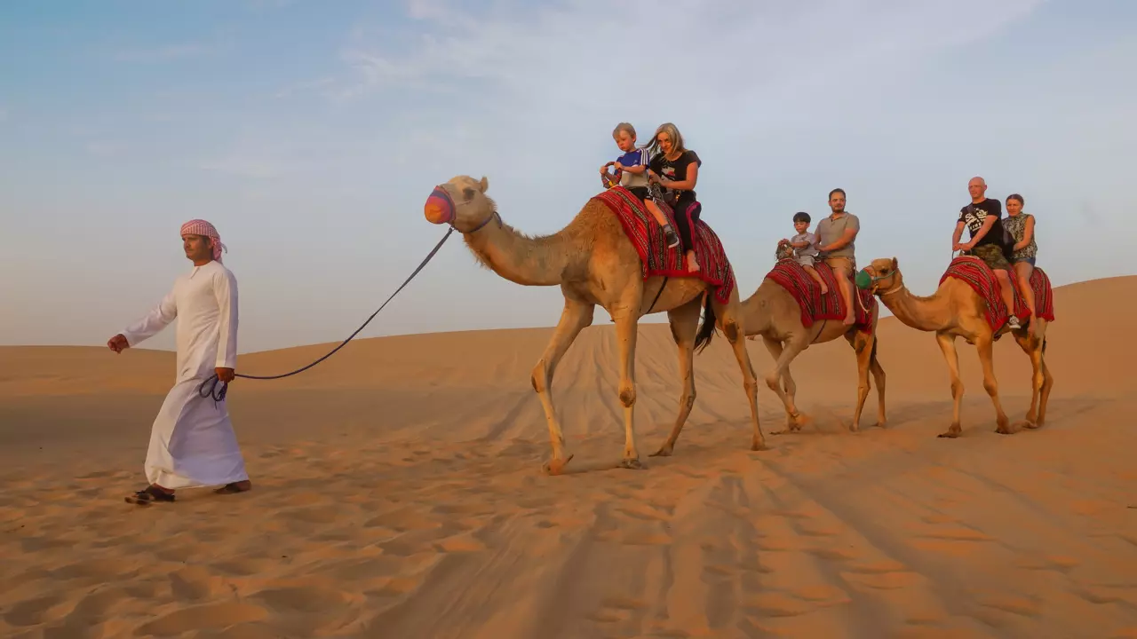 Desert Safari in Abu Dhabi - Photo 26