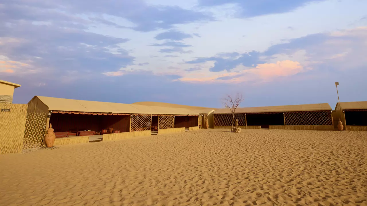 Desert Safari in Abu Dhabi - Photo 30