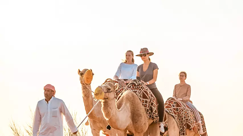 Sonara Camp - Photo 18