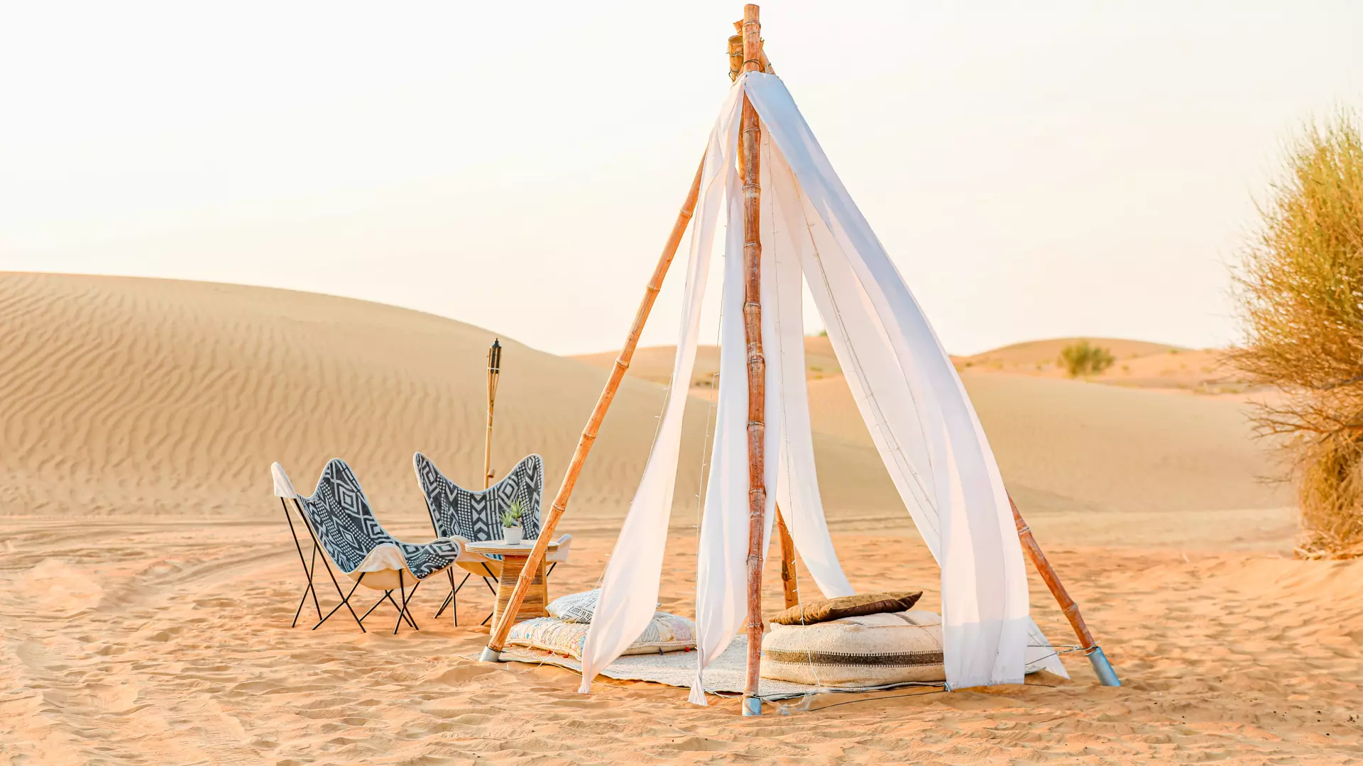 Sonara Camp - Photo 20