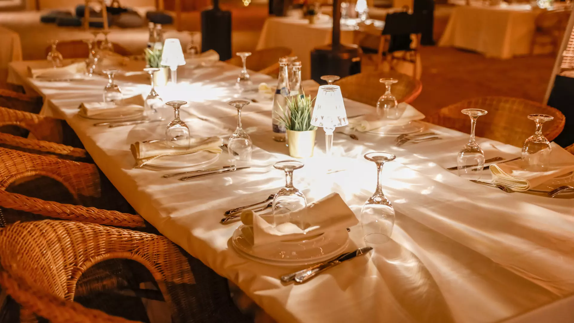 Sonara Camp - Photo 22