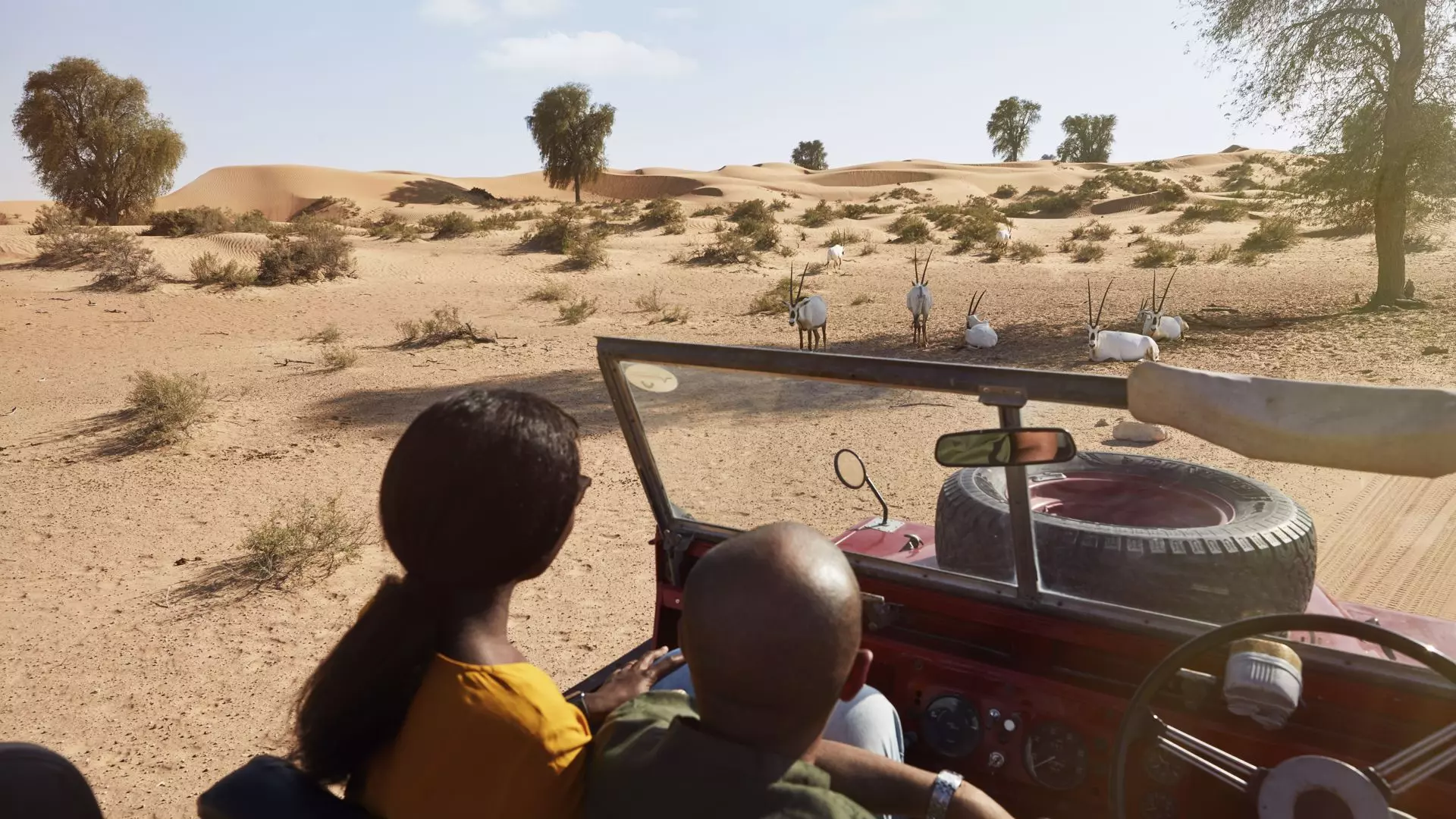 Heritage Safari - Photo 23