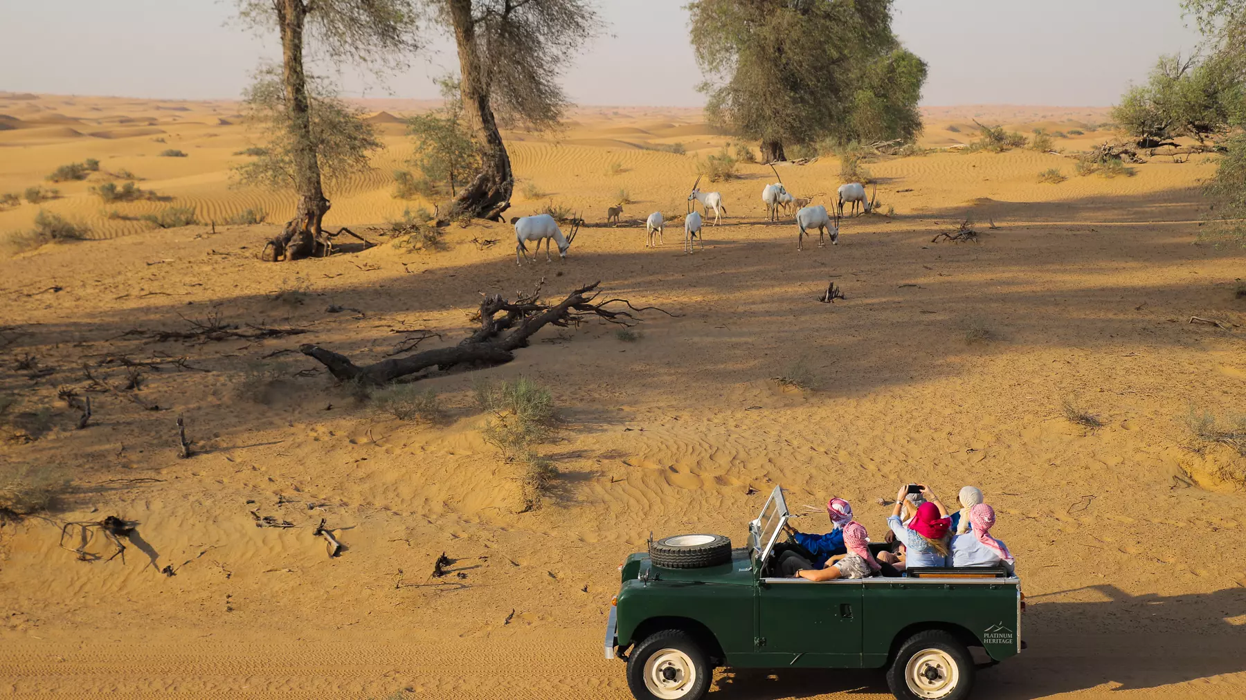 Heritage Safari - Photo 24