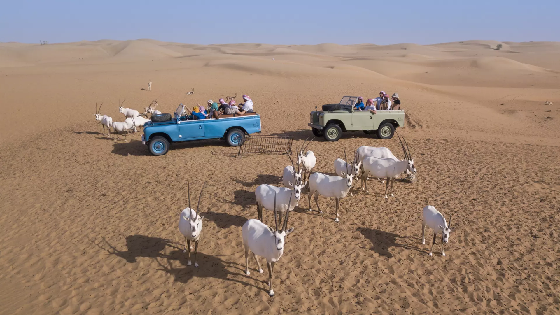 Heritage Safari - Photo 30