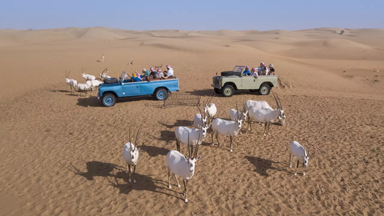 Heritage Safari - Photo 12