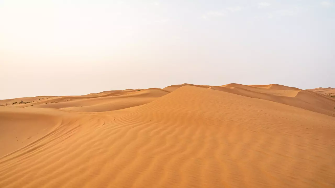 Desert Safari in Ras Al-Khaimah & Fujeirah - Photo 13
