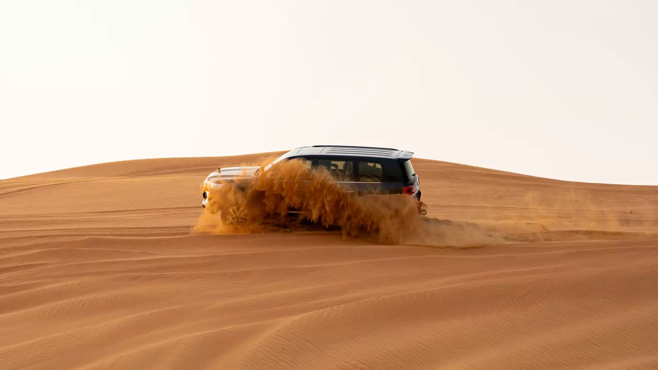 Desert Safari in Ras Al-Khaimah & Fujeirah - Photo 17