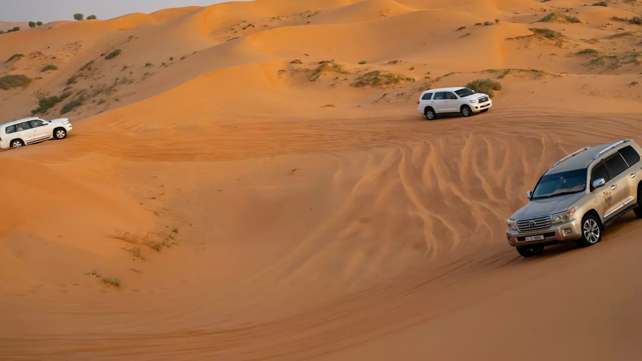 Desert Safari in Ras Al-Khaimah & Fujeirah - Photo 18