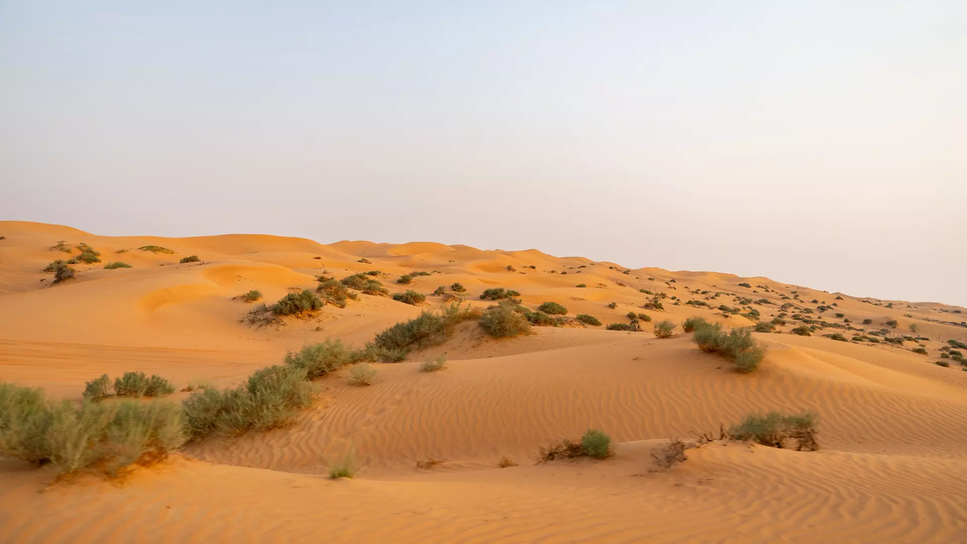 Desert Safari in Ras Al-Khaimah & Fujeirah - Photo 47