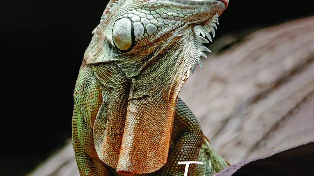 National Aquarium Abu Dhabi - Photo 27