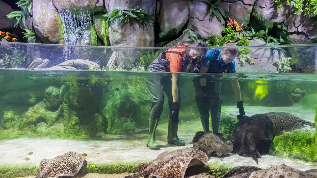 National Aquarium Abu Dhabi - Photo 6