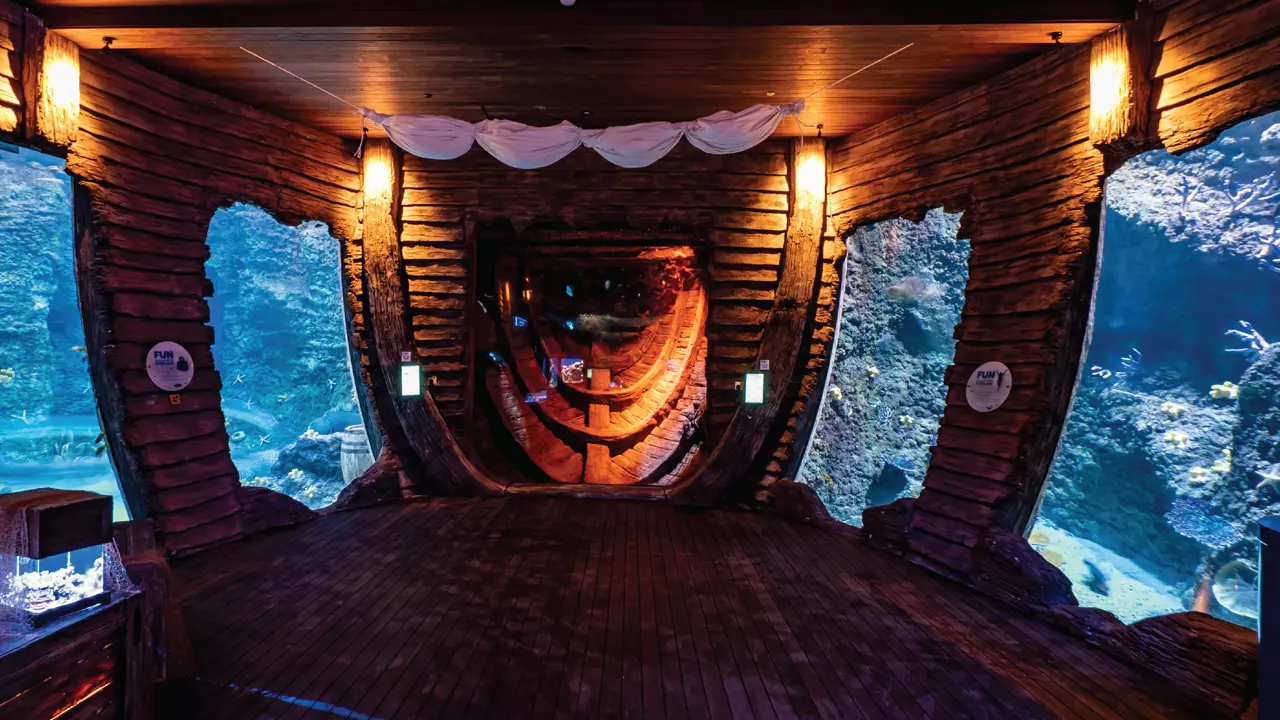 National Aquarium Abu Dhabi - Photo 12