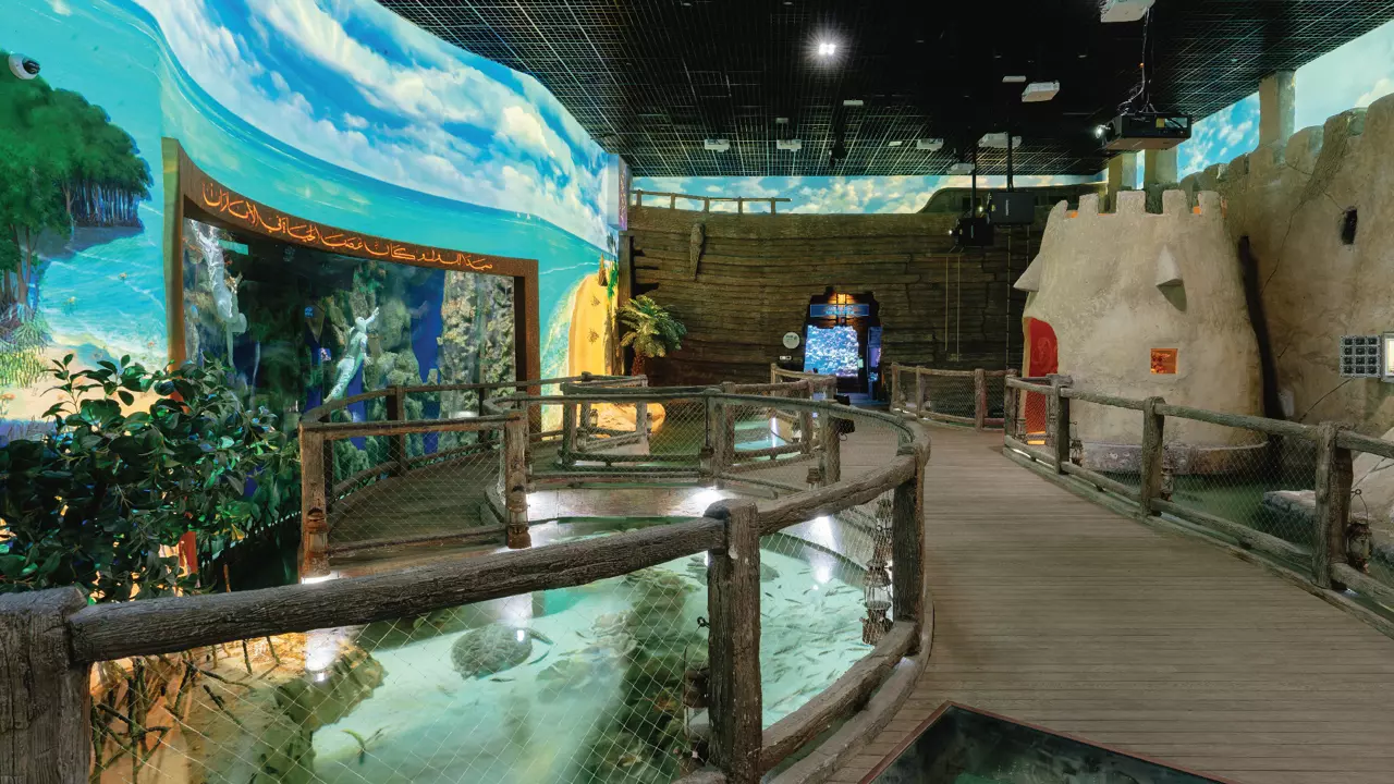 National Aquarium Abu Dhabi - Photo 14