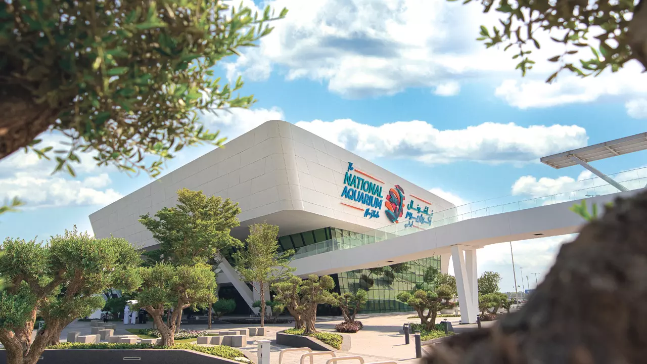 National Aquarium Abu Dhabi - Photo 15