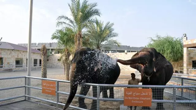Abu Dhabi Emirates Park Zoo