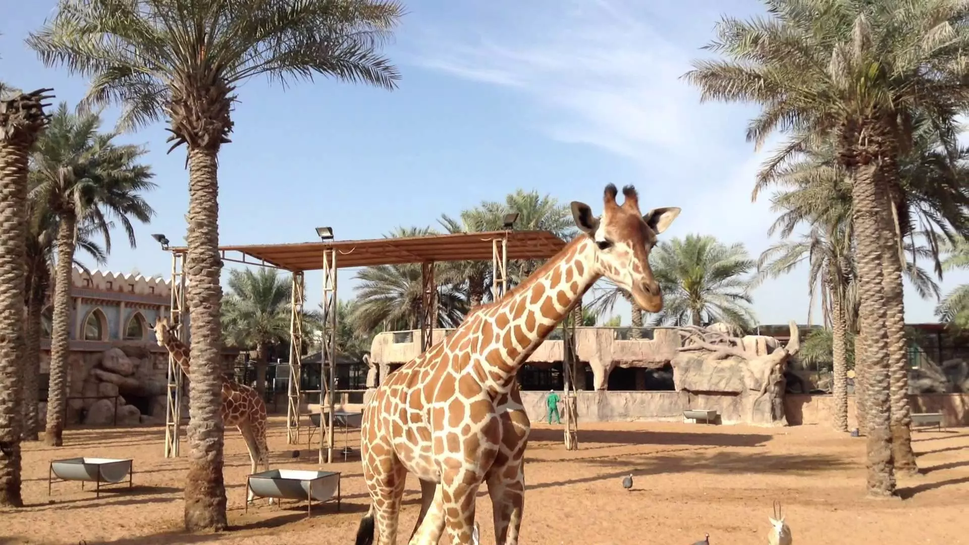 Abu Dhabi Emirates Park Zoo - Photo 14