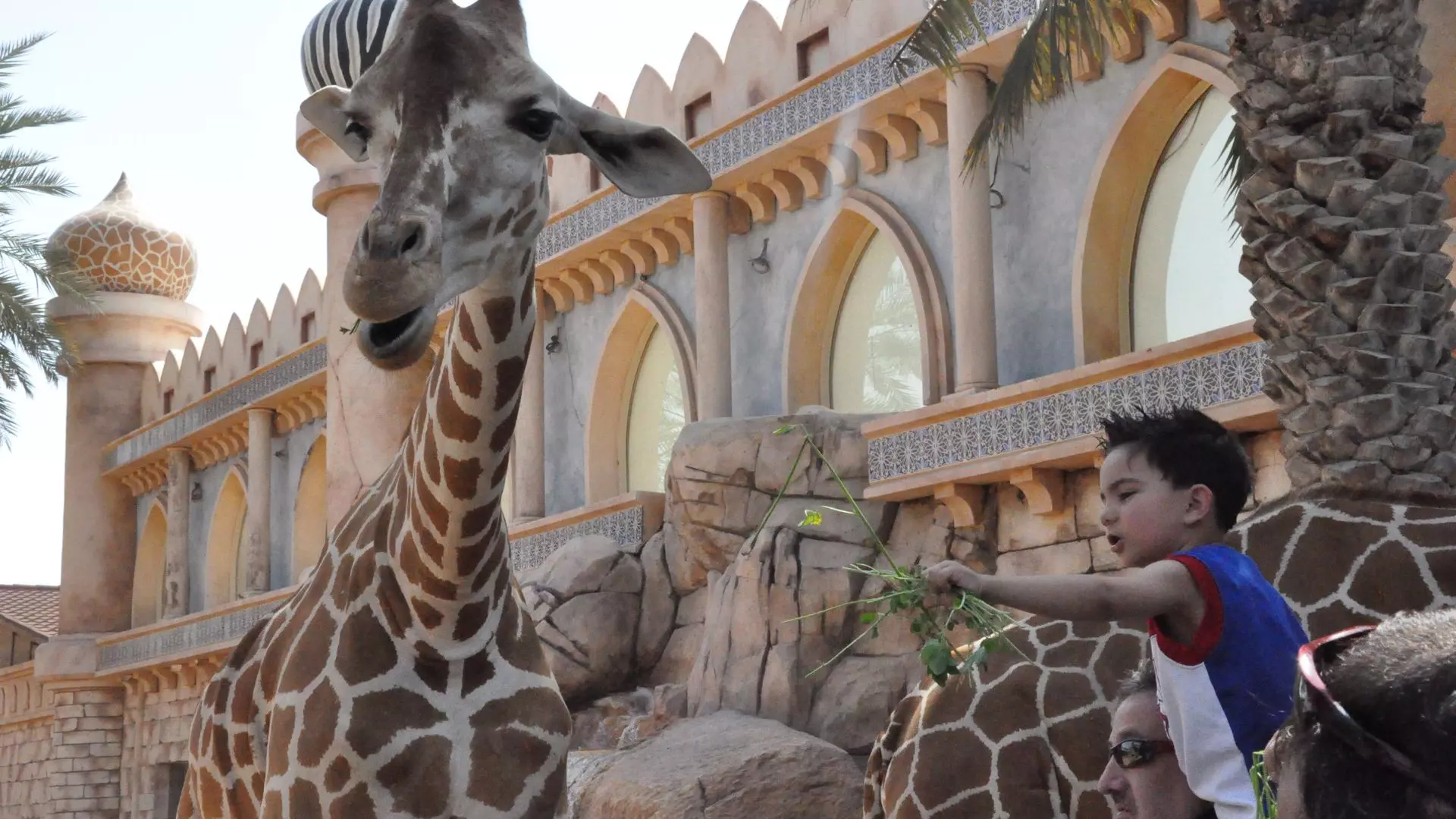 Abu Dhabi Emirates Park Zoo - Photo 16