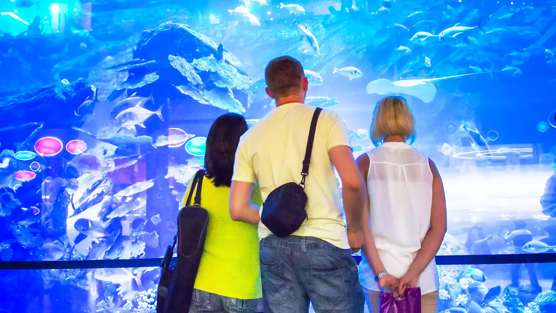 Aquarium and Underwater Zoo at the Dubai Mall - Photo 14
