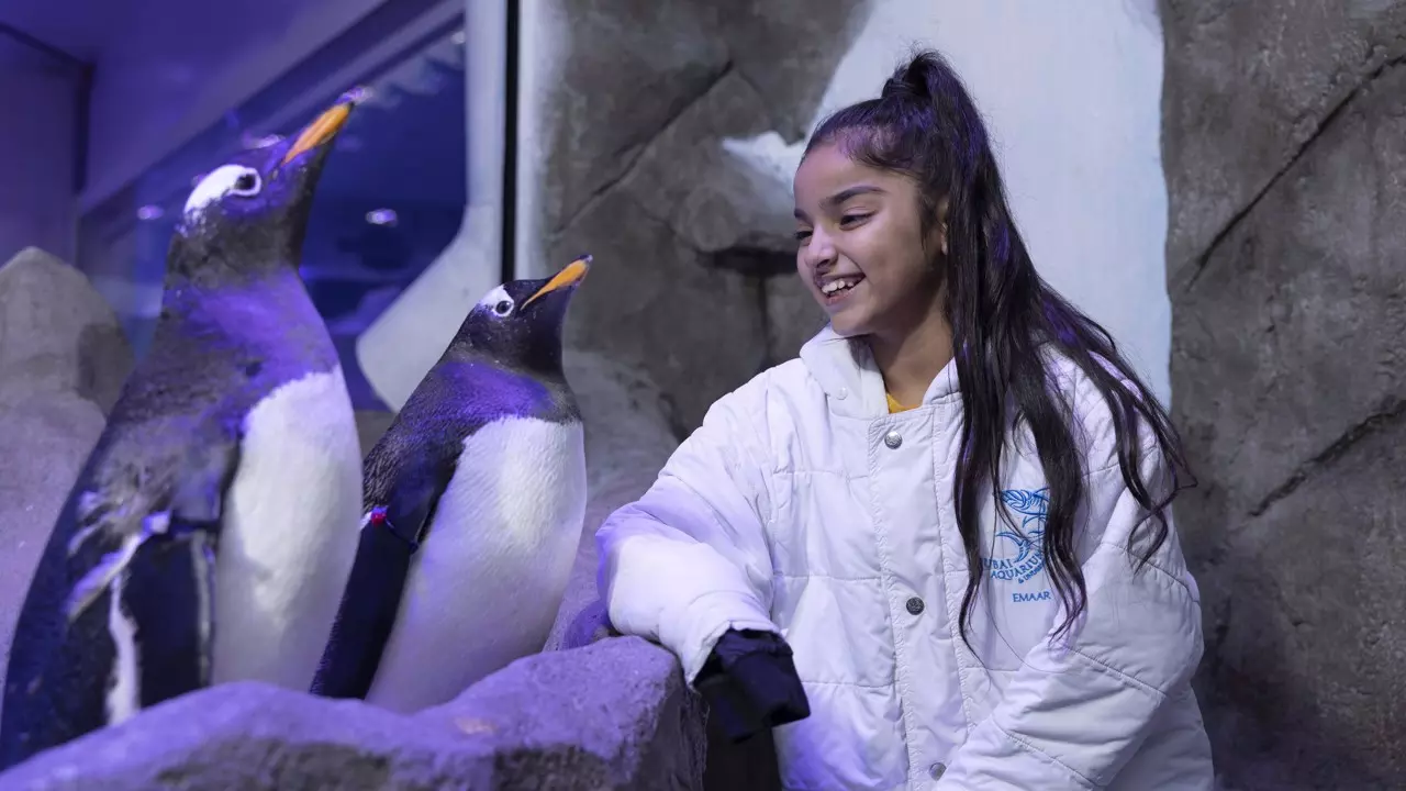 Aquarium and Underwater Zoo at the Dubai Mall - Photo 8