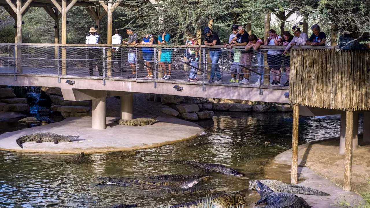 Dubai Crocodile Park - Photo 5