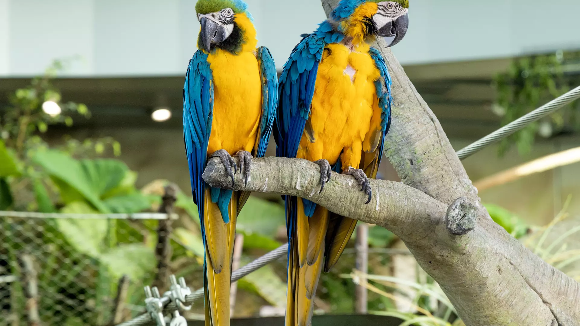 The Green Planet - Photo 21