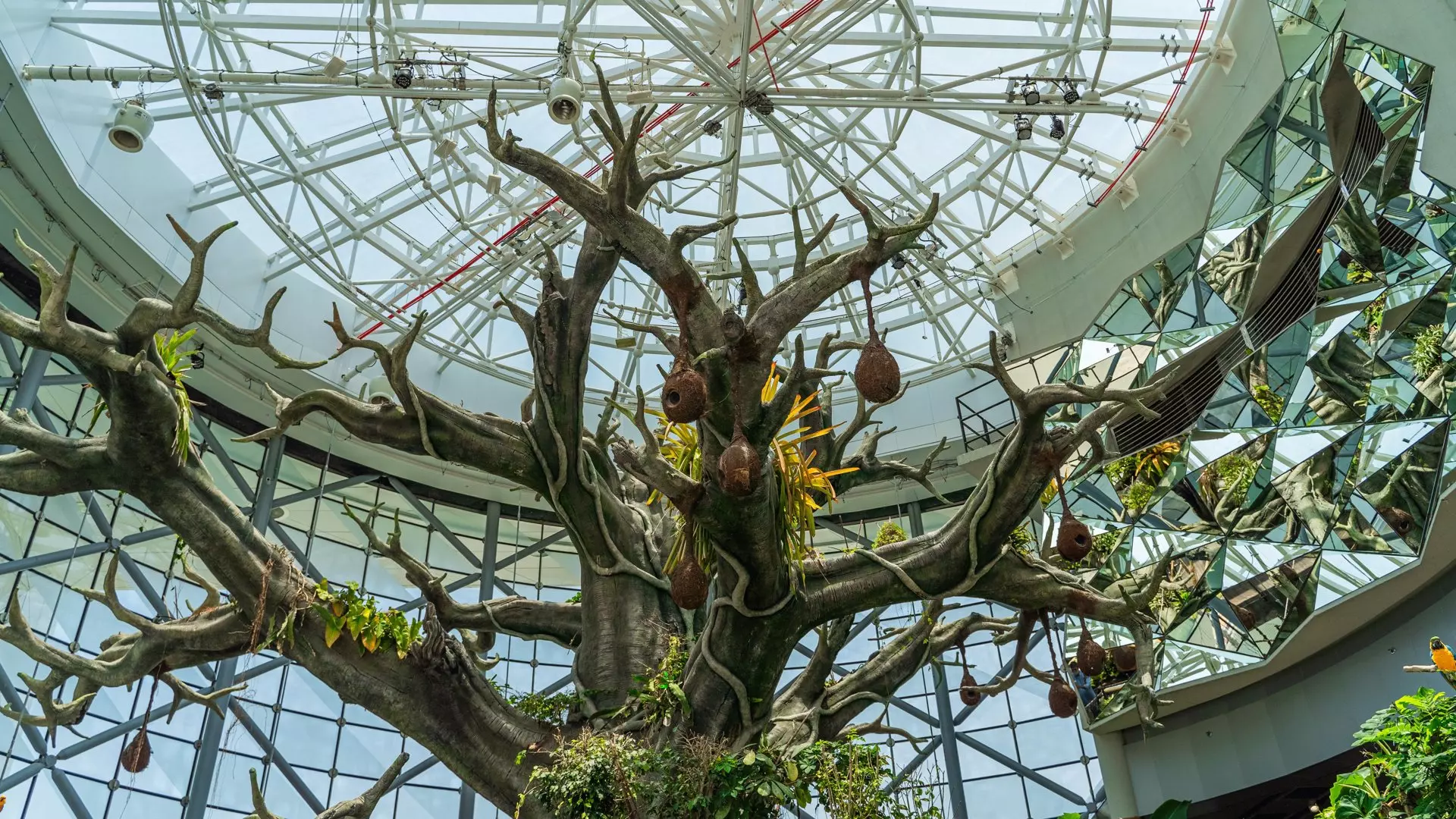 The Green Planet - Photo 23