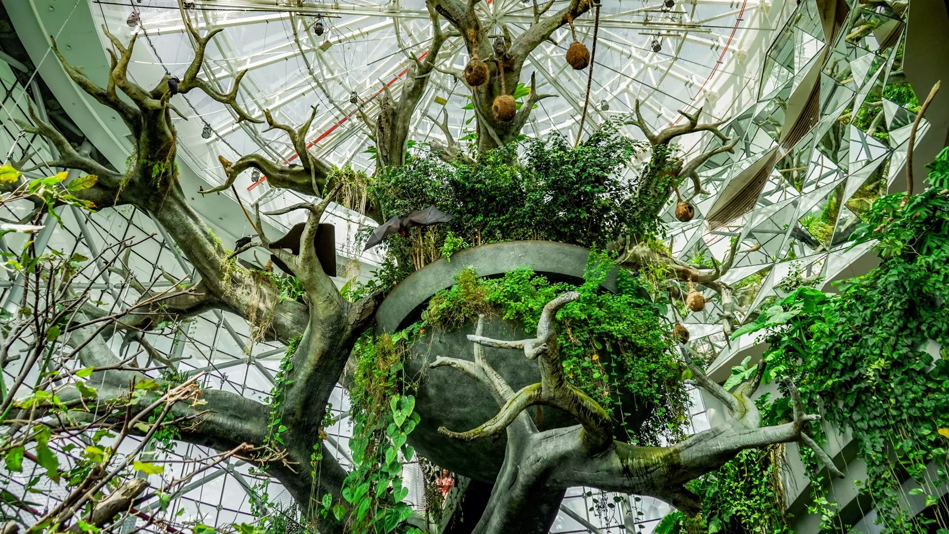 The Green Planet - Photo 24