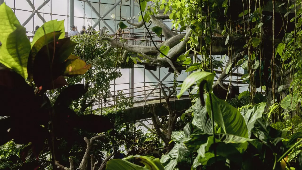 The Green Planet - Photo 12